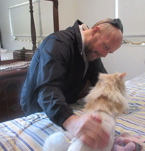 Three pictures show Paul leaning over a bed to pet some cats, who seem to be greeting him.
